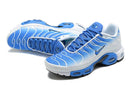 Air Max Plus TN 1 “White/Blue”
